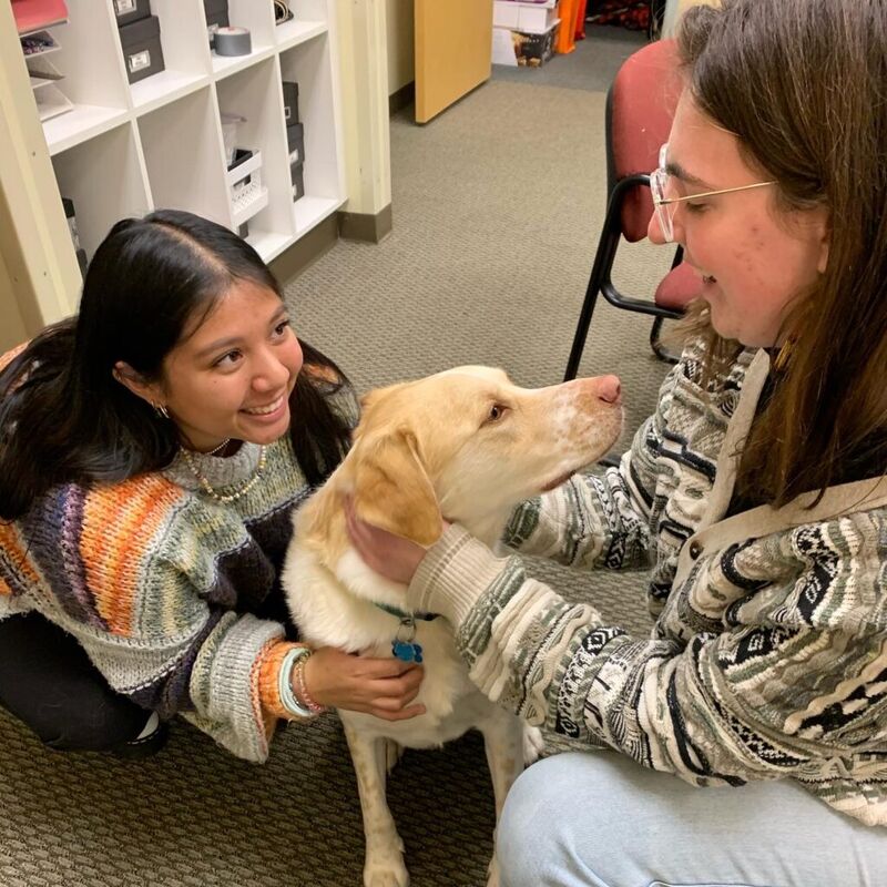 Odd Jobs From Community Members